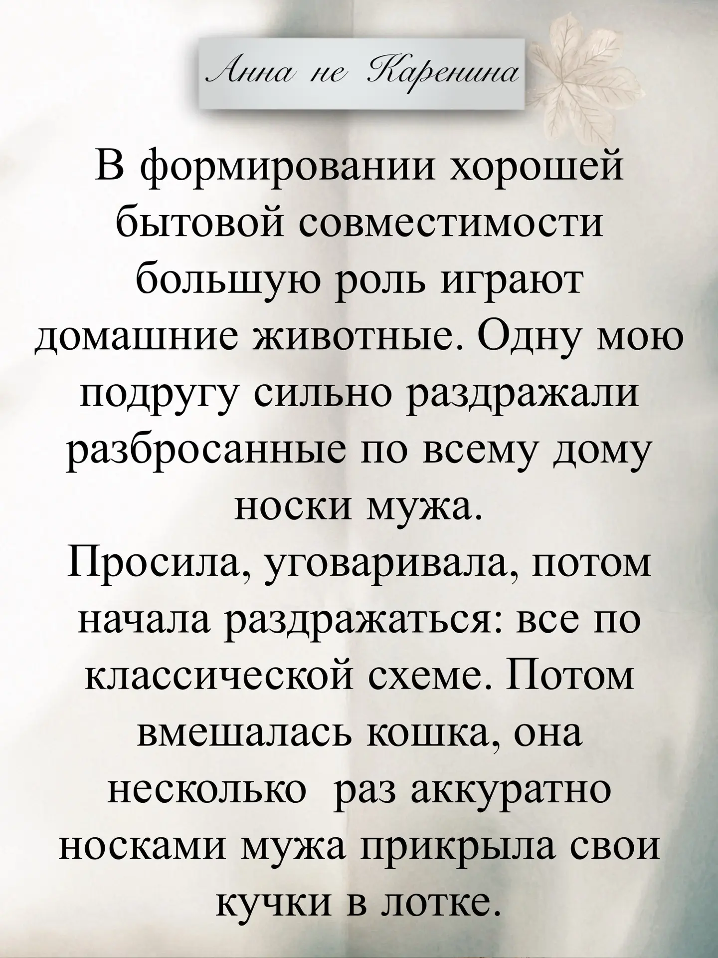 Доброе утро, друзья! ☀️