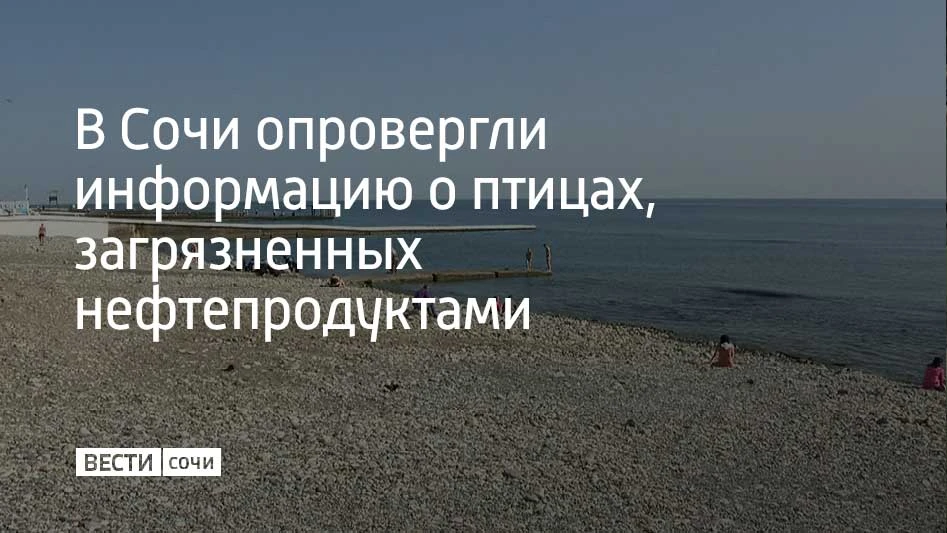 В местных пабликах начала распространяться информация о пострадавших птицах, найденных ...