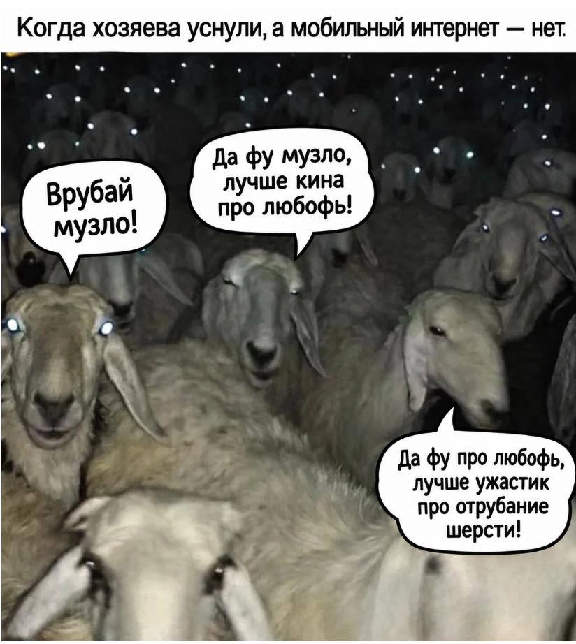 Десятилеткам в Новосибирской области поручили важное дело — пасти овец. Но простое зада...