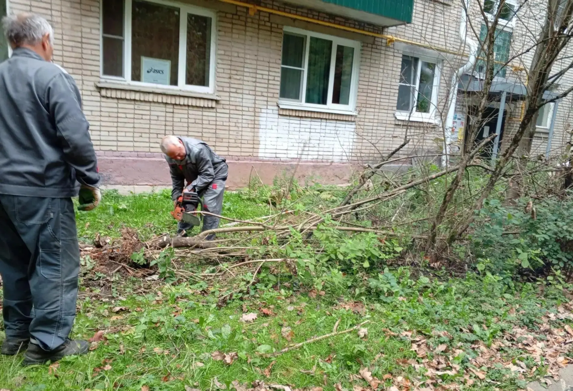 По адресу Курчатова 26, произведён спил упавшего куста сирени