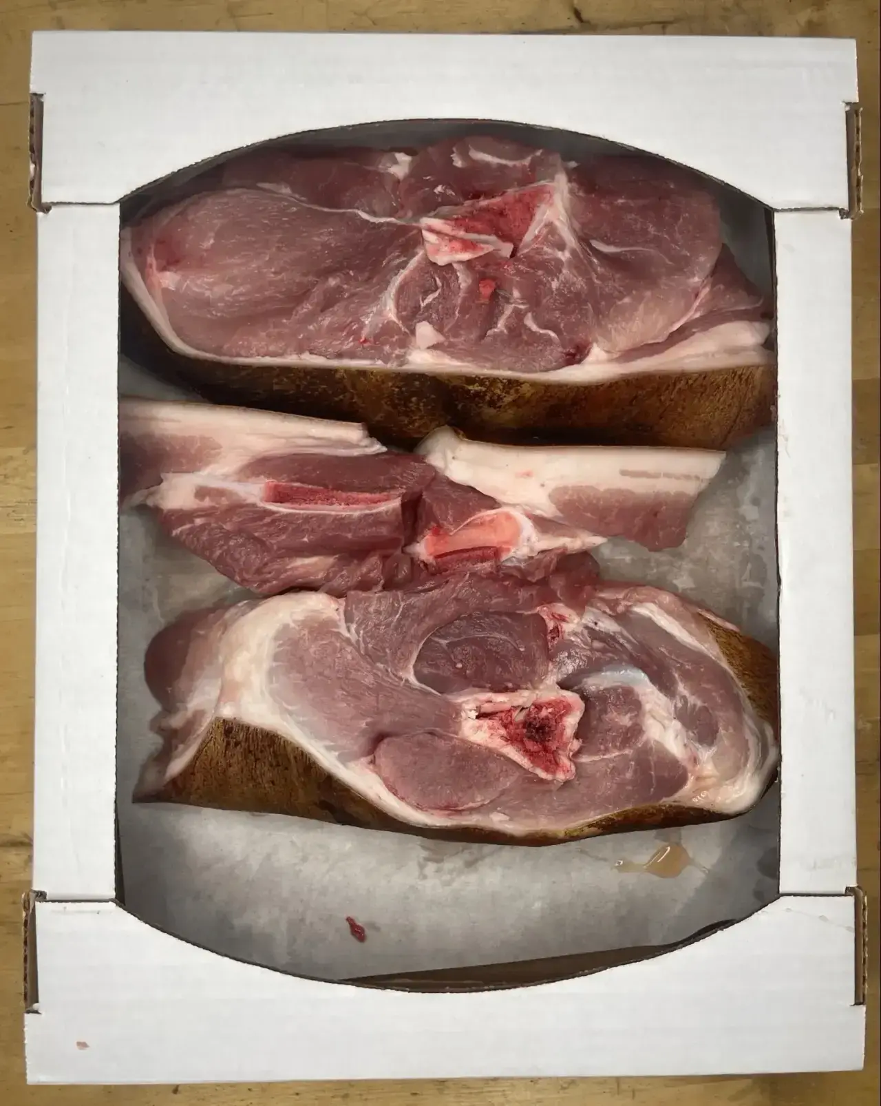 🐷🐷🐷🐷🐷🐷🐷🐷🐷