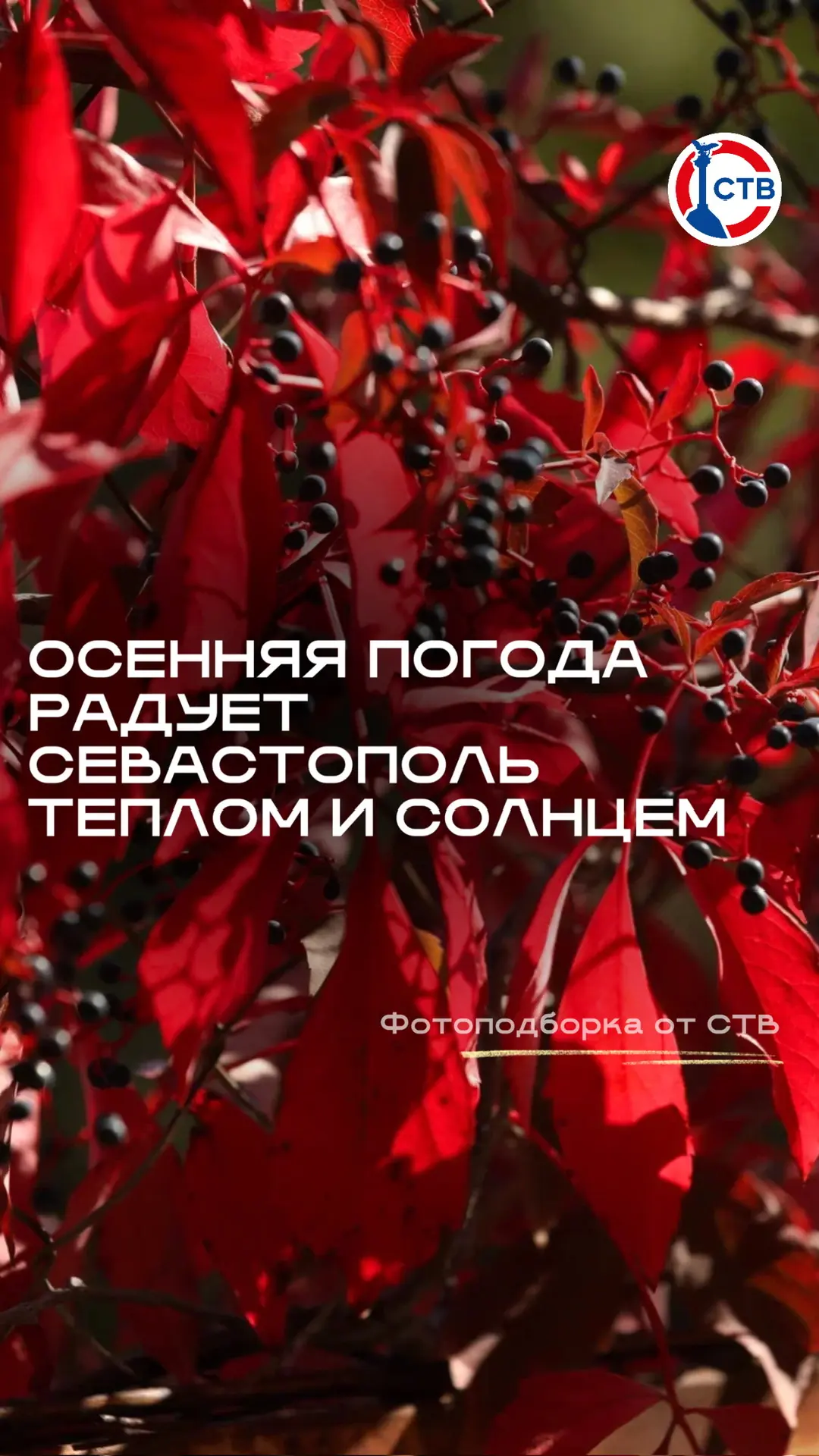 Октябрь радует теплом: в Севастополе продолжаются солнечные выходные!☀️