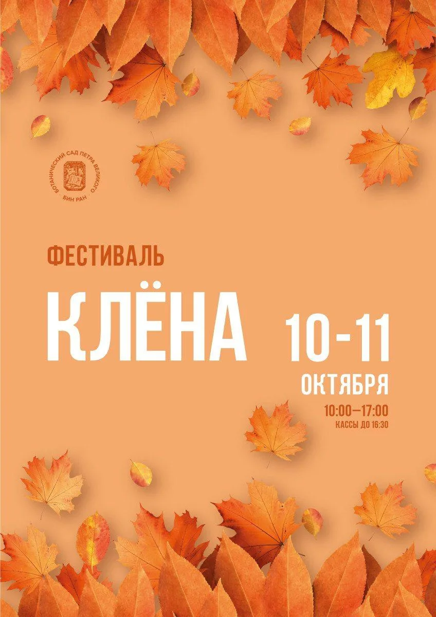 В Ботаническом саду пройдёт Фестиваль клёна (0+) 🍁