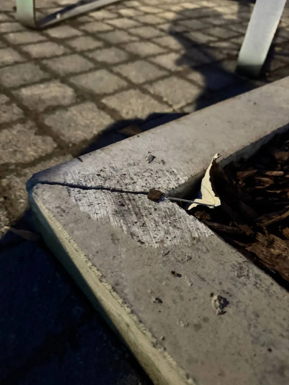 Это благоустройство?! Такую "работу" примут?!