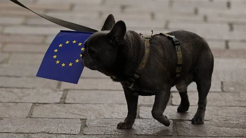 🇪🇺 10 предприятий Удмуртии попали под санкции ЕС
