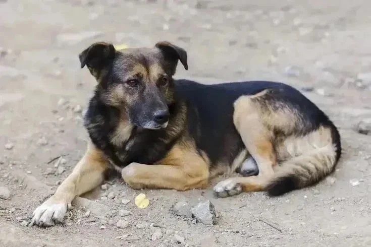 Уважаемые жители!