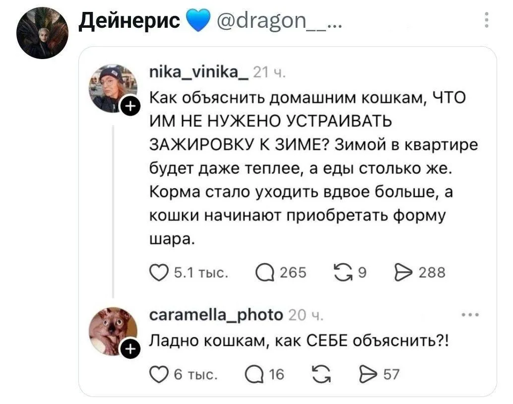 Тоже не понимаю