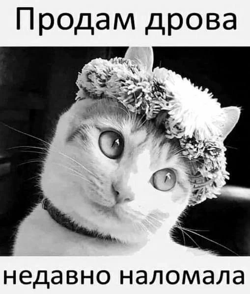 Женщине можно и дрова наломать, и вообще все ...