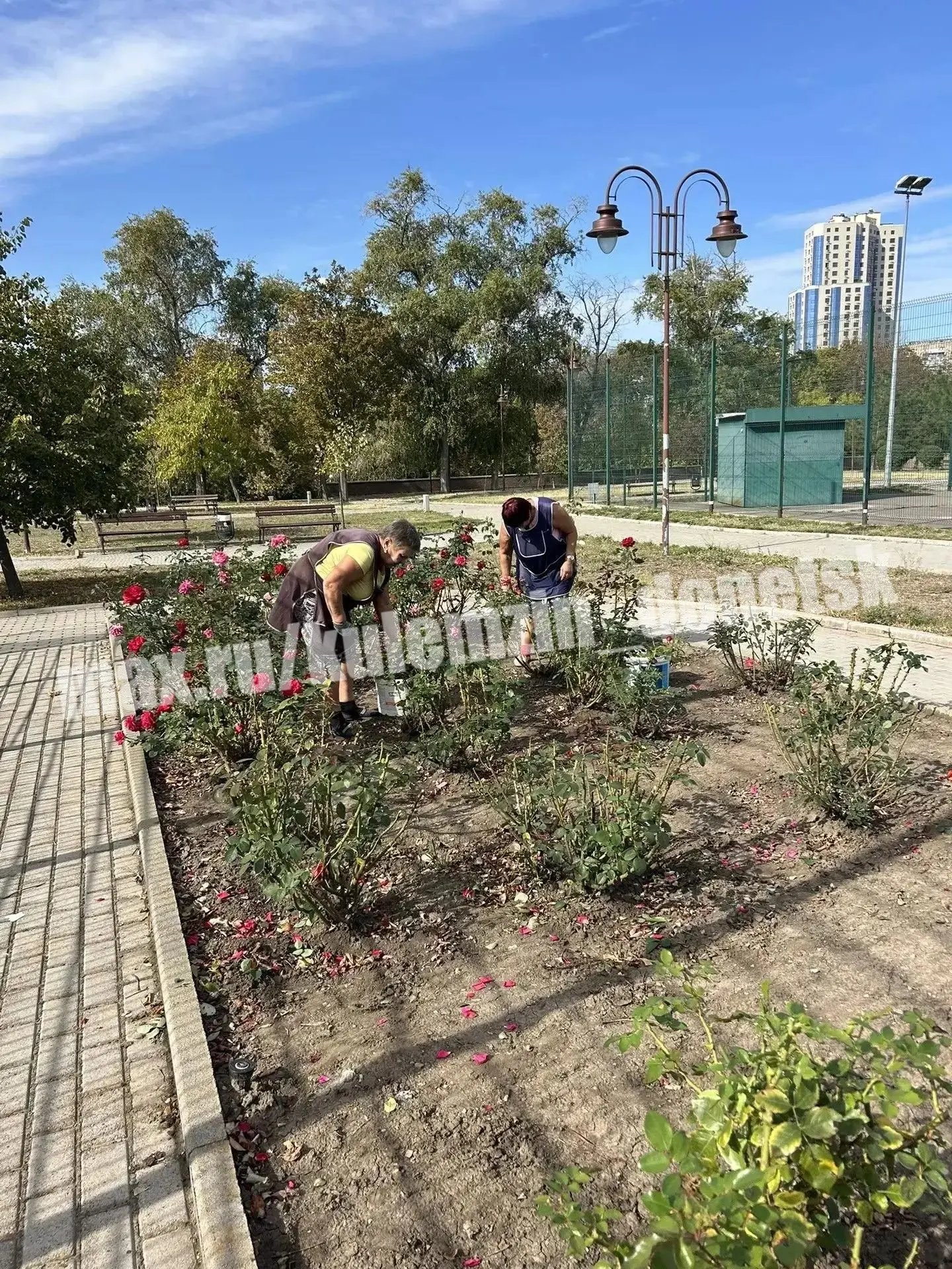 ⚡️ Команда Дирекции парков продолжает осенние работы по благоустройству территорий.