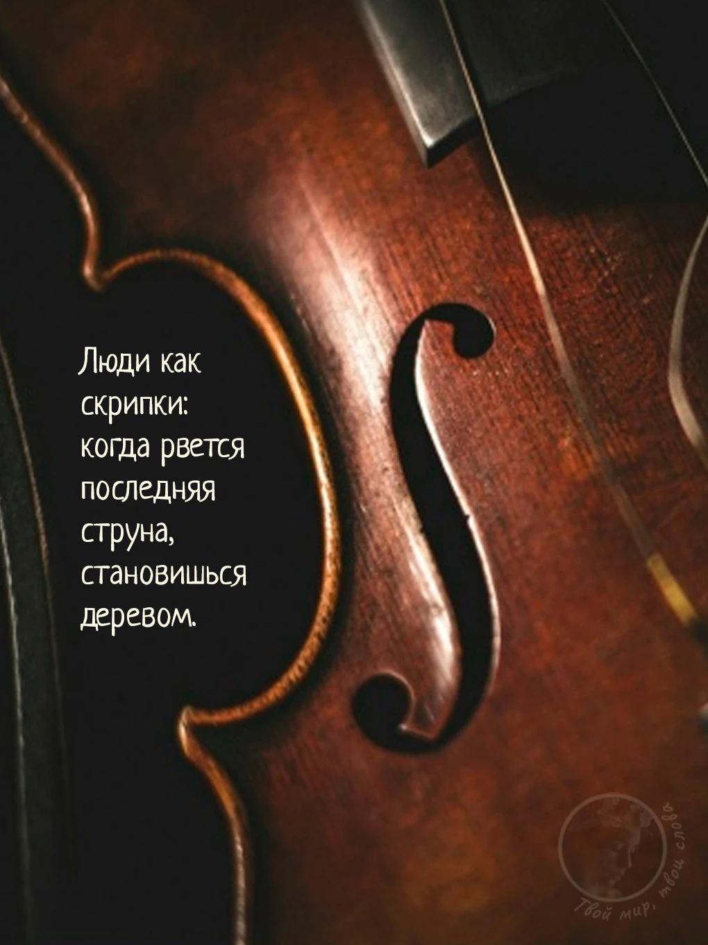 Твой мир, твои слова