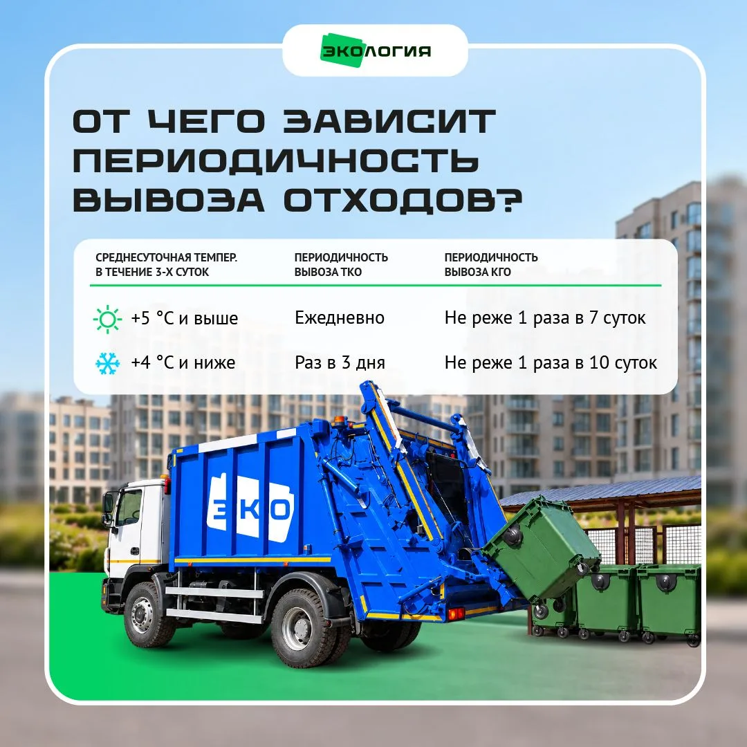 🚮Отходы под контролем: как часто должны вывозить ТКО и КГО?