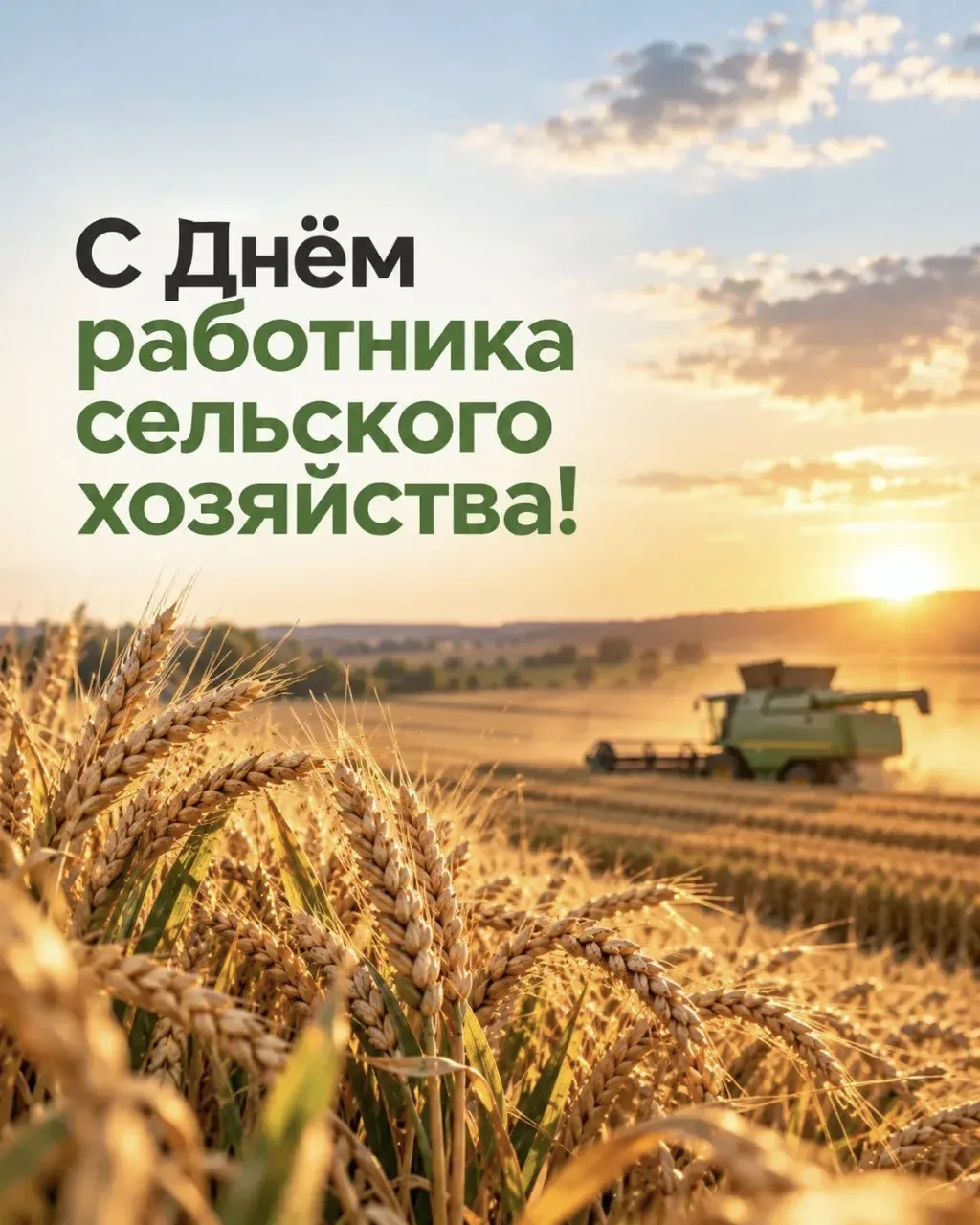 🌾 С Днём работника сельского хозяйства и перерабатывающей промышленности!