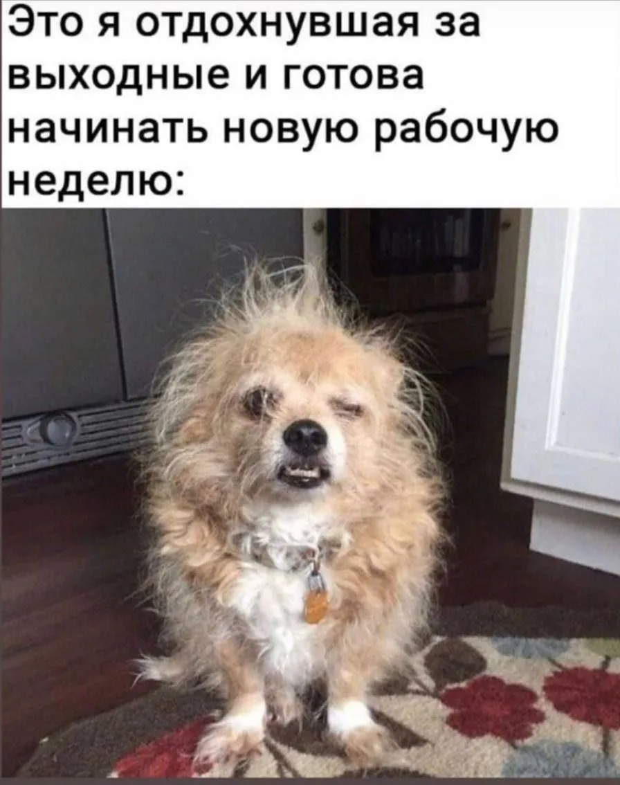 Доброе утро😁