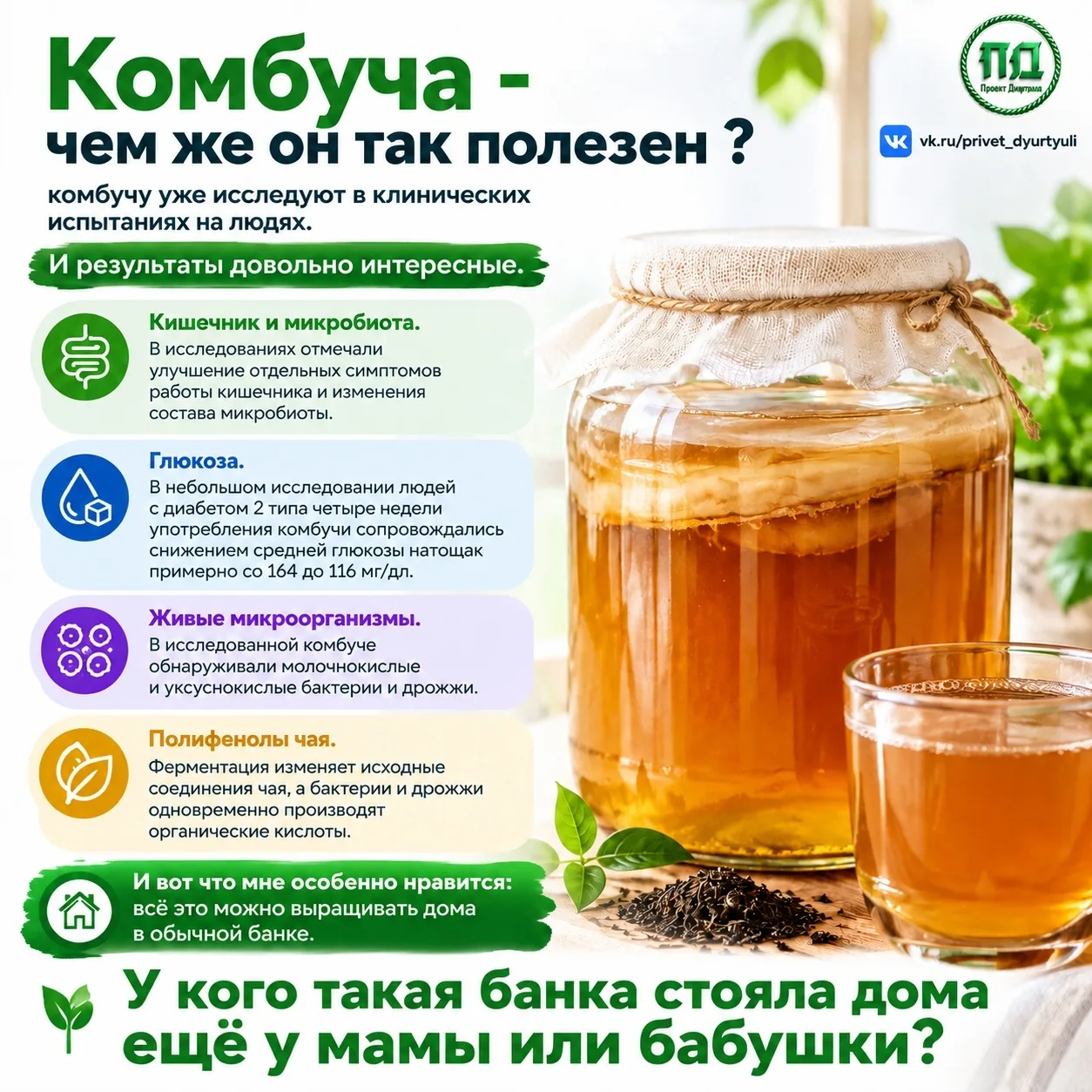 Чем полезна комбуча?