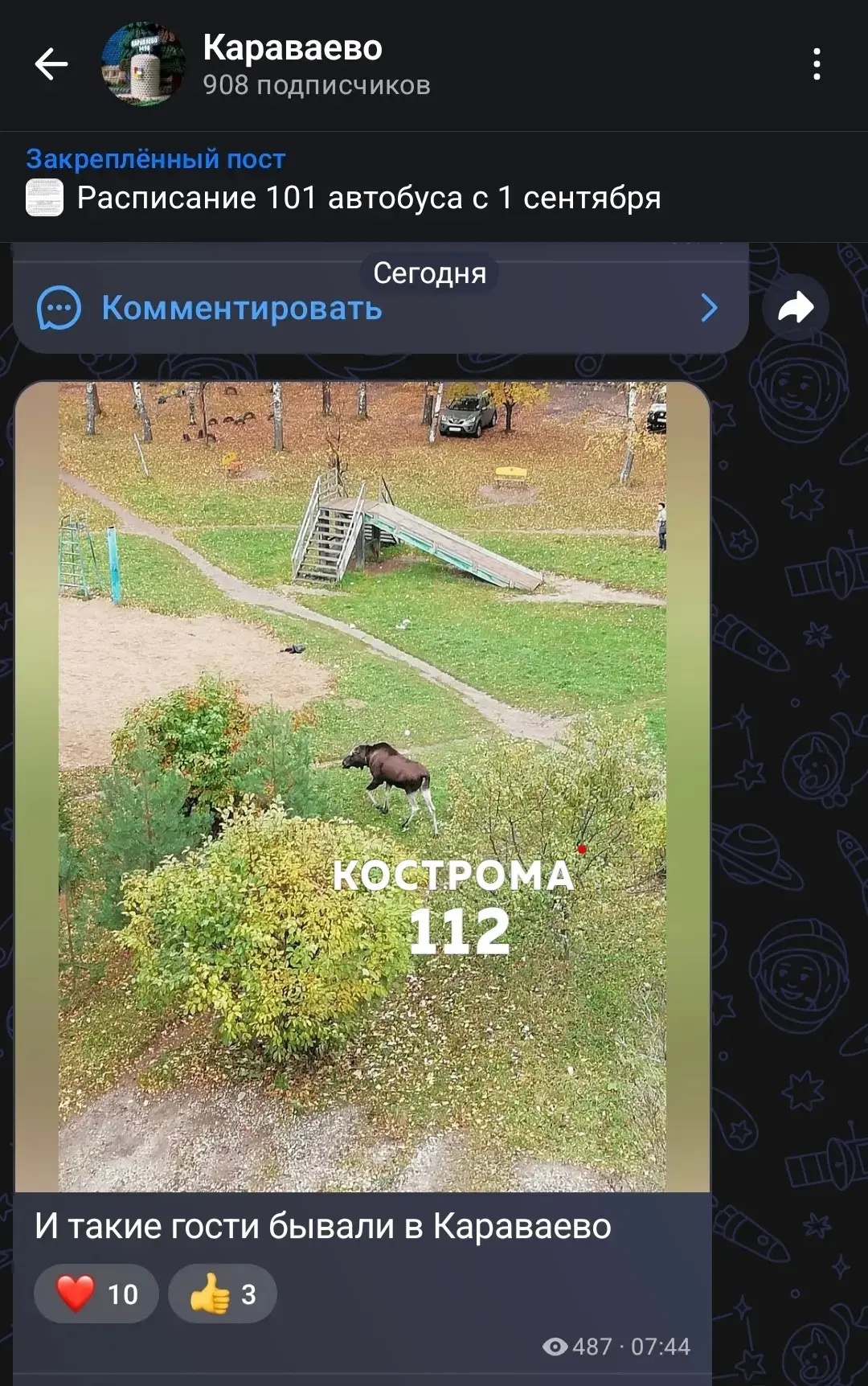Сегодня группа «Караваево» опубликовала фотографию с лосем, подписав её: «И такие гости...