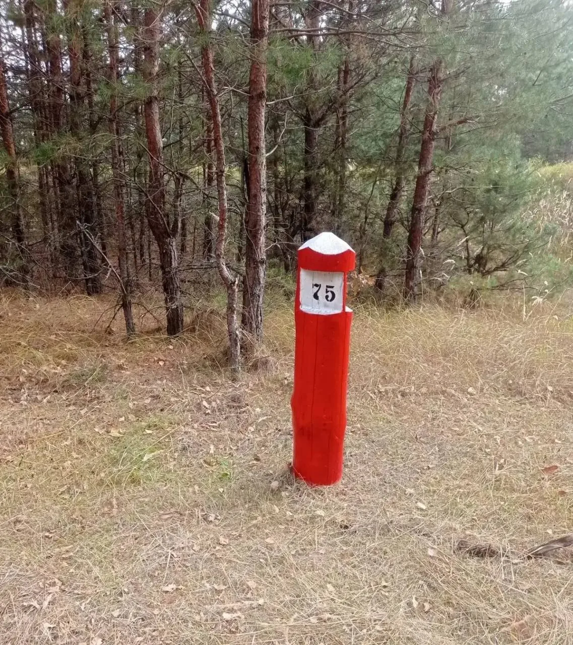 Ставка на красное