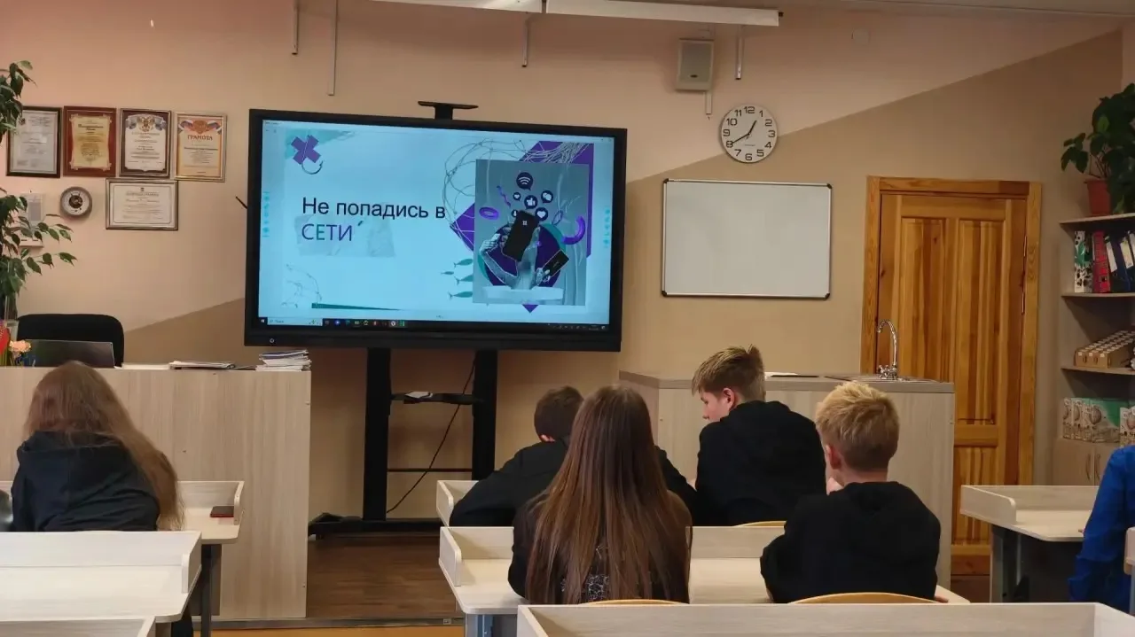 Не попадись в сети!