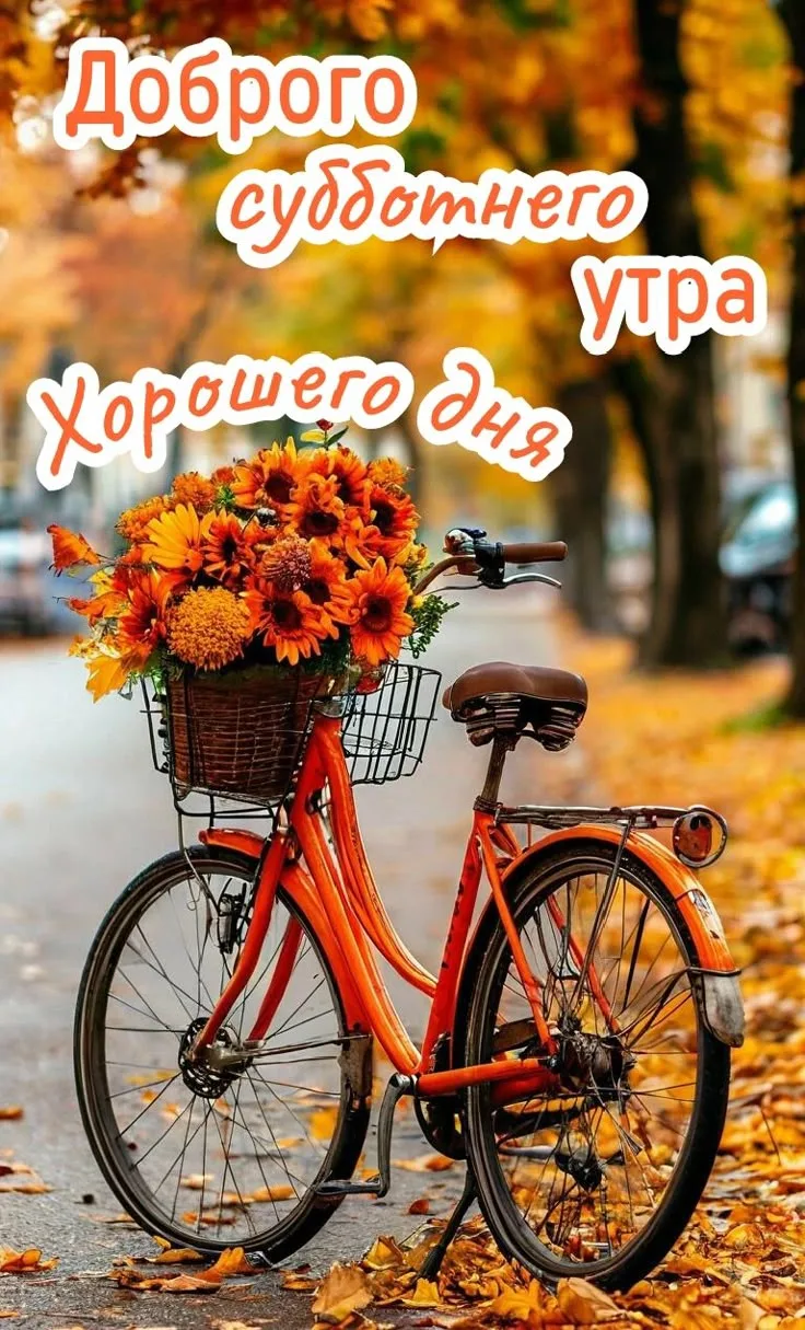 🌞🍁Доброе утро, школьники! Просыпайтесь с вдохновением и готовностью к новым учебным с...