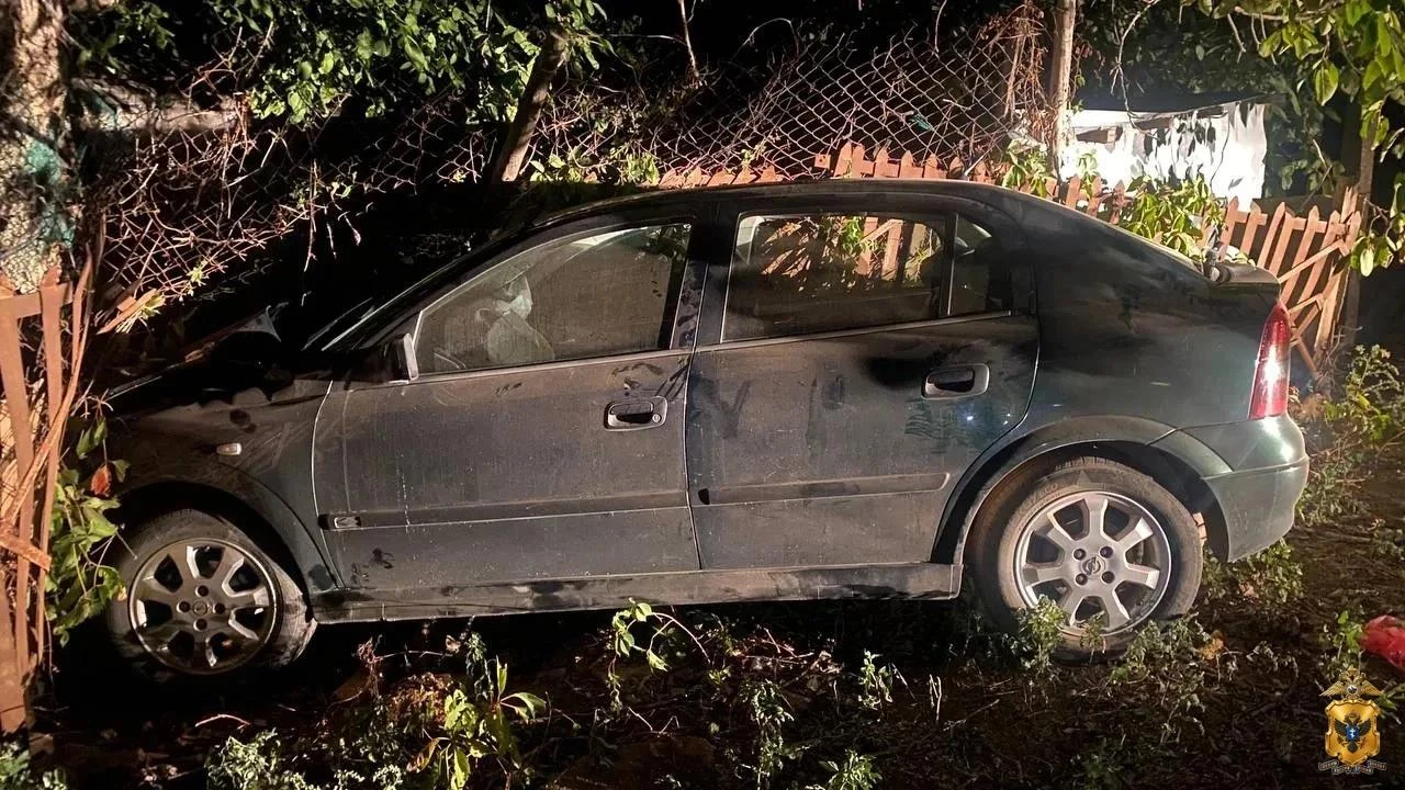 В Чаплинском округе вынесли приговор виновнику смертельного ДТП