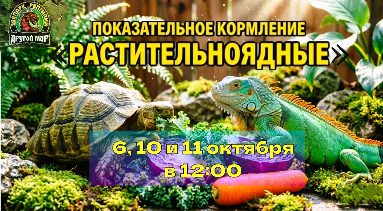 🌿🐢🦎 Успейте увидеть кормление!