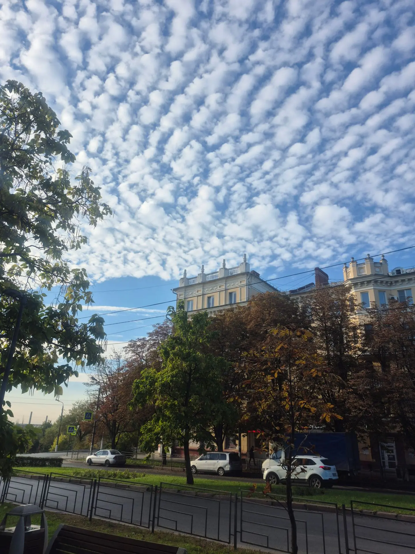 Прекрасное утро 🍂