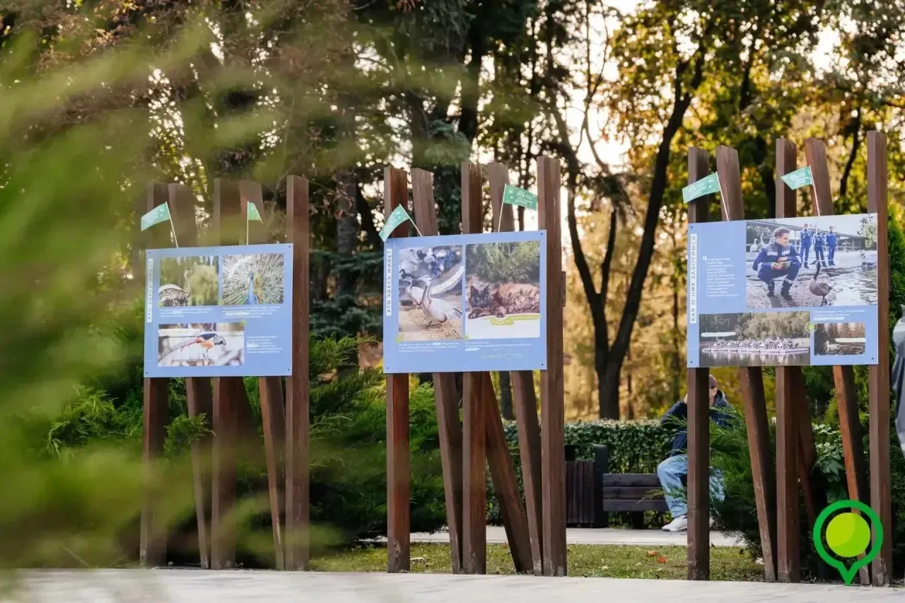 **В Быхановом саду открыли фотовыставку о птицах экопарка НЛМК 🦢**