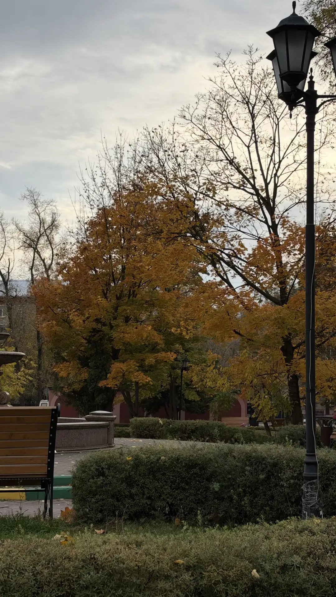 🍂 Все в какой-то спешке и делах. Вышла с собакой, а тут такая осень🥹❤️