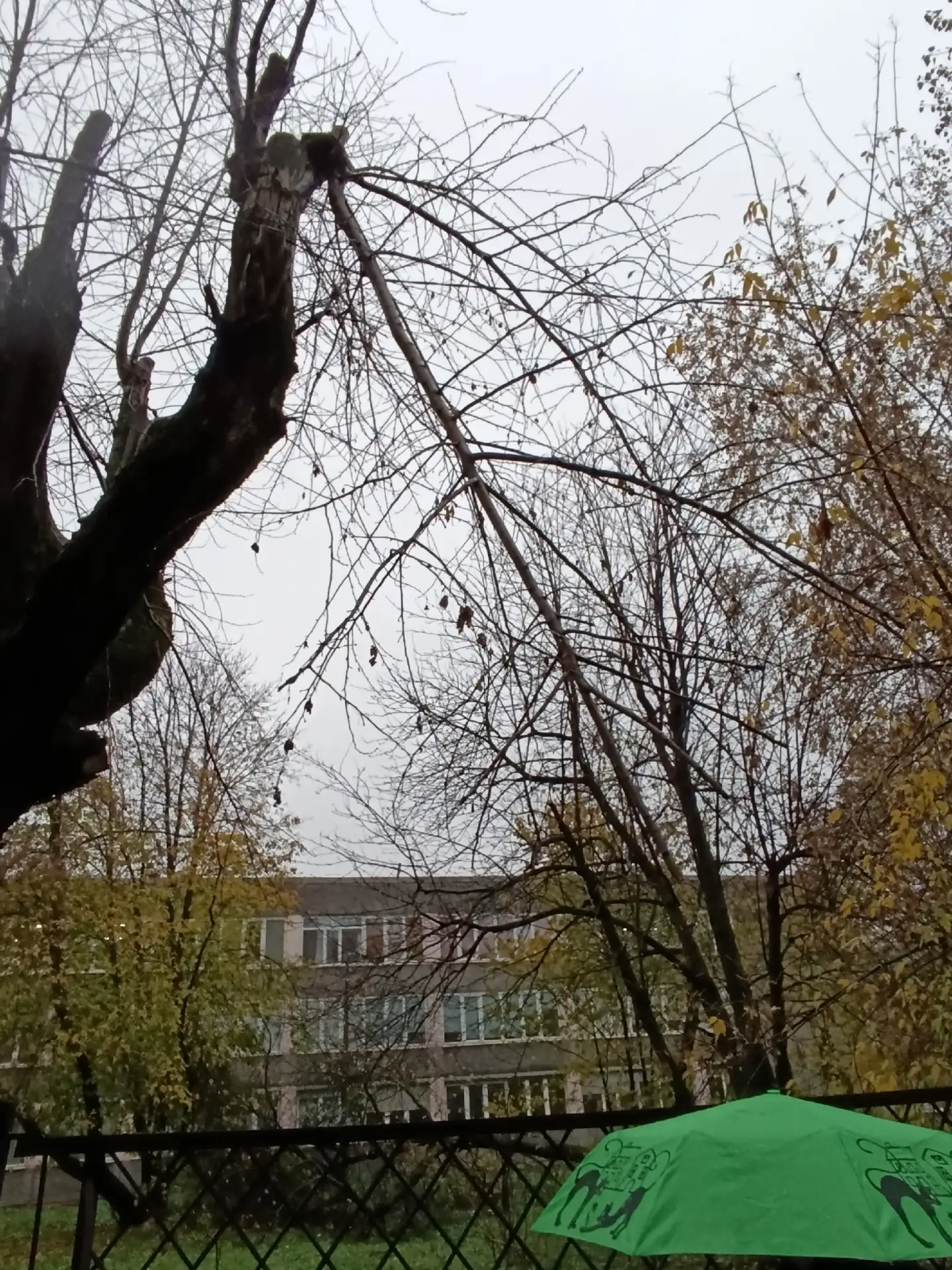 #ЧереповецкийГородовой