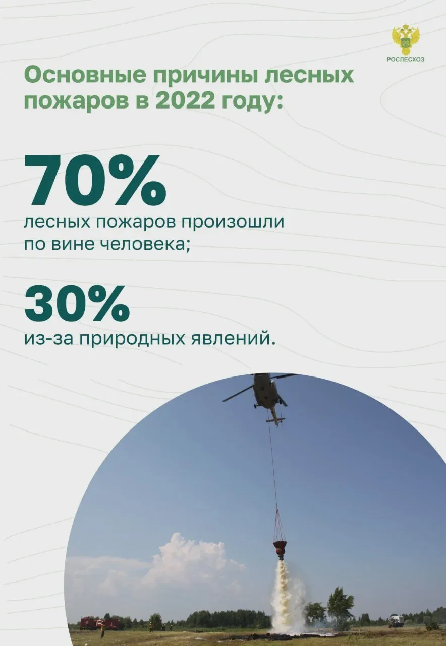 Лесные пожары можно предотвратить