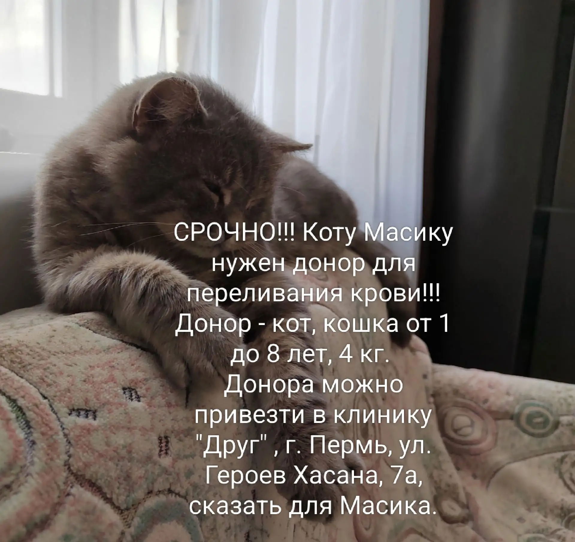 https://vk.ru/id16612927