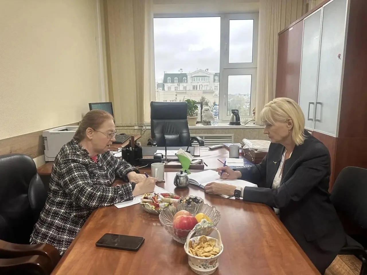 Лиана Пепеляева провела рабочую встречу с Ольгой Чуляевой.