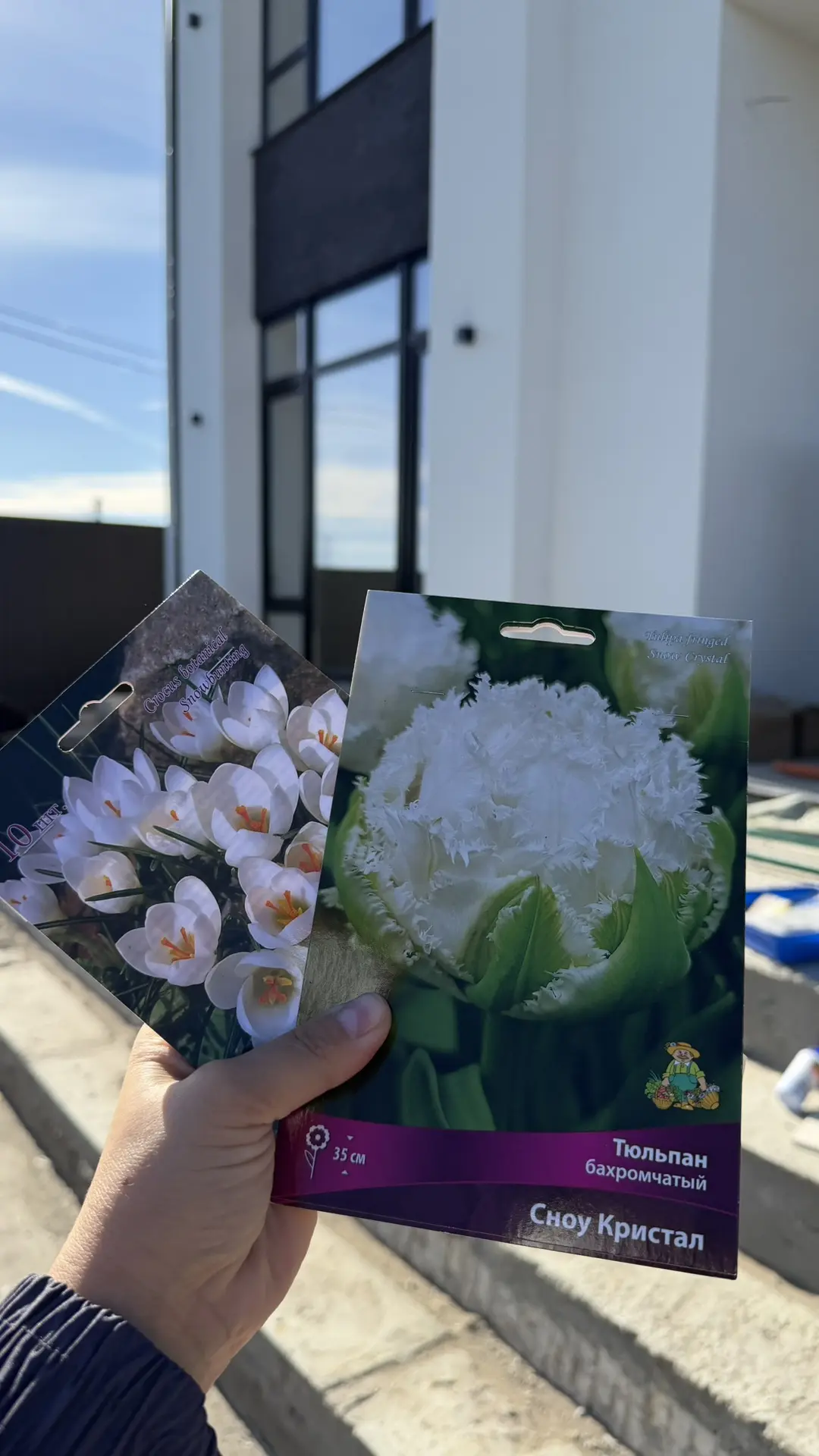 Клумба к посадкам готова. Сегодня мама обещала привезти мне белые Пионы, а я пока воткн...