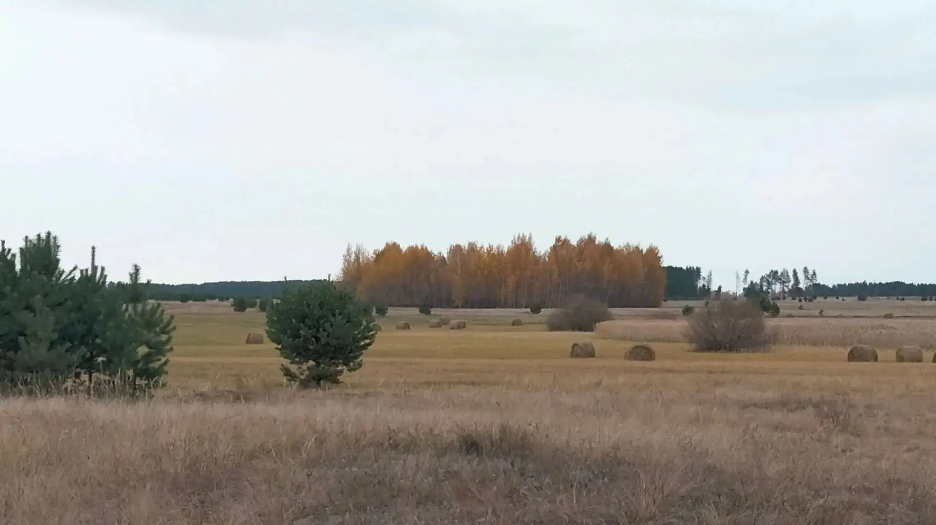 Целинный муниципальный округ.