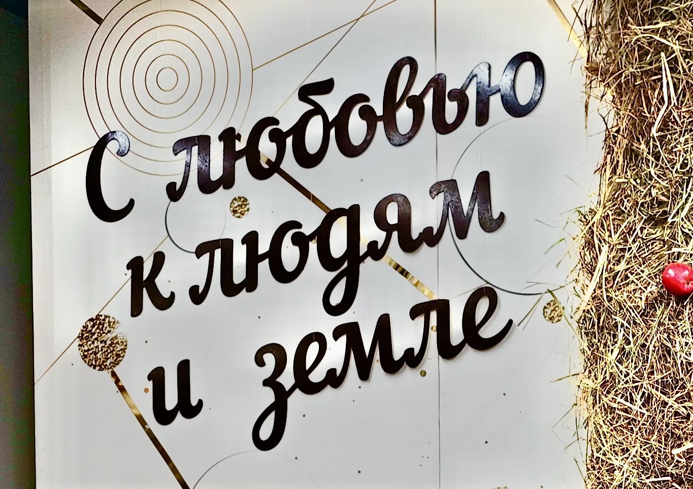 Дорогие друзья!