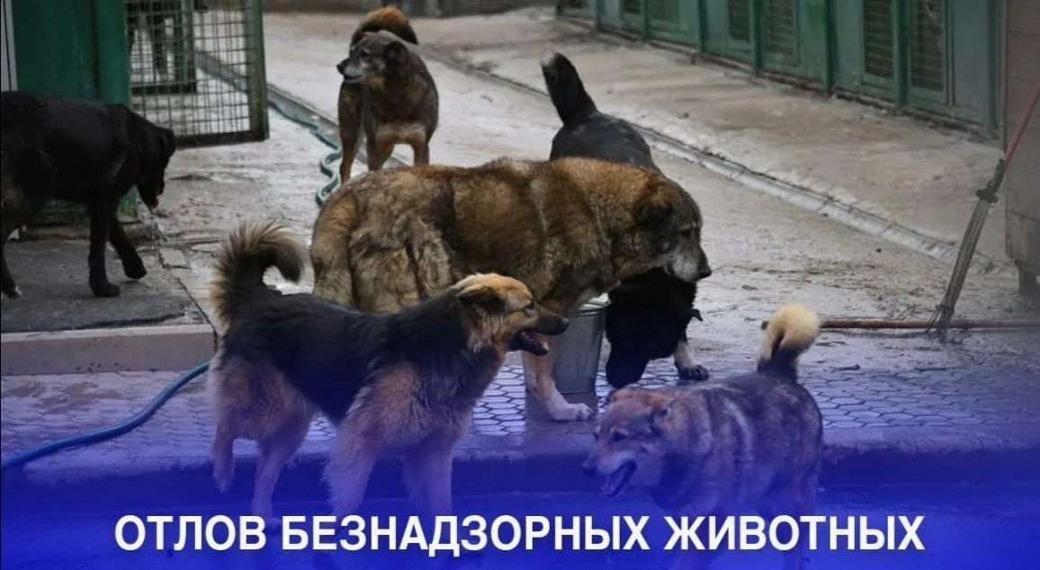 АДМИНИСТРАЦИЯ ГОРОДА СООБЩАЕТ