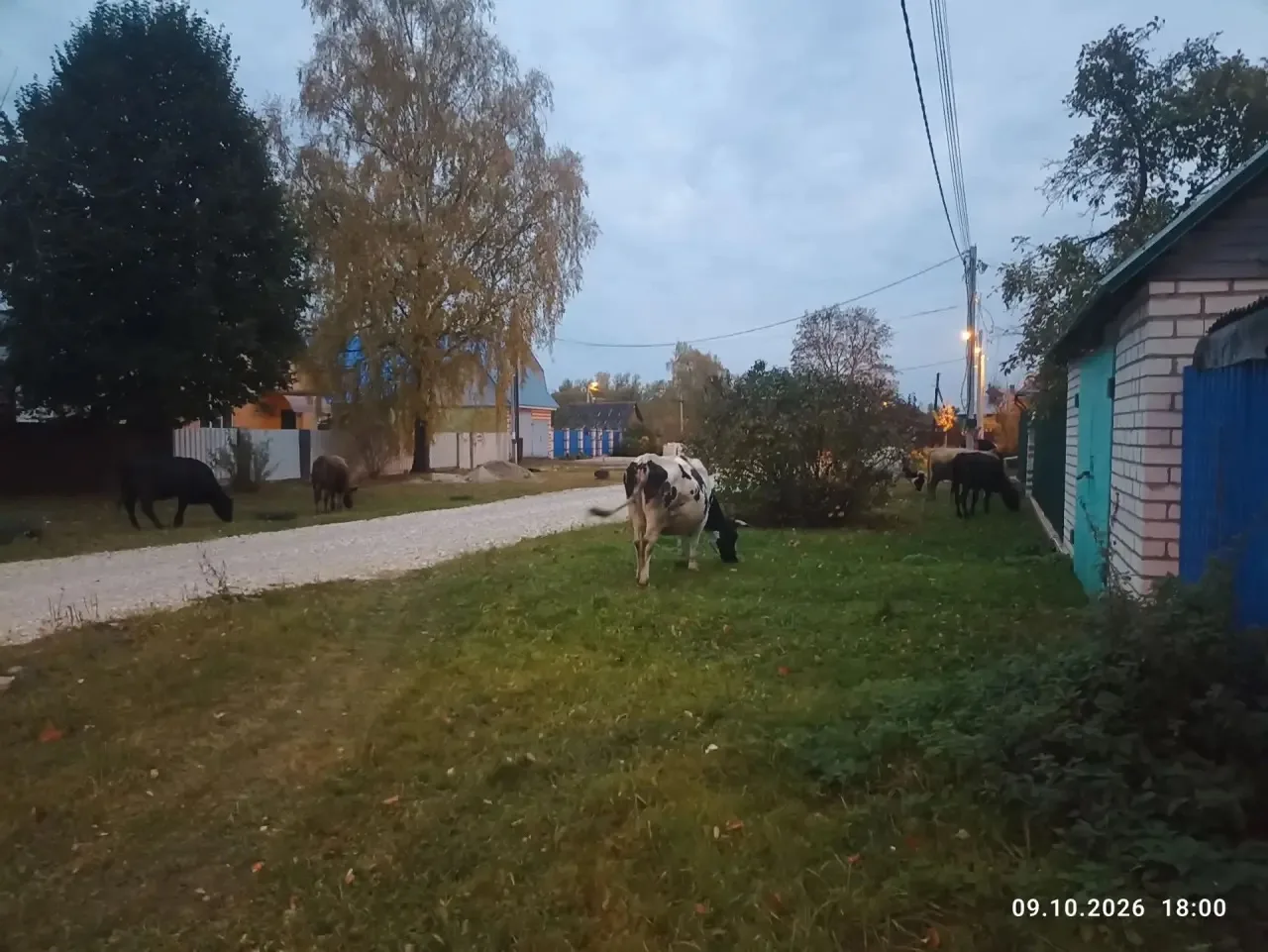 От читателя
