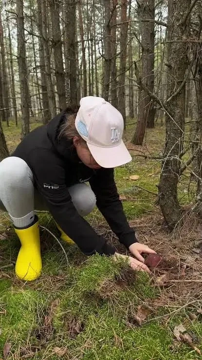 🍄 Грибная вылазка чуть не закончилась угрозой расправы