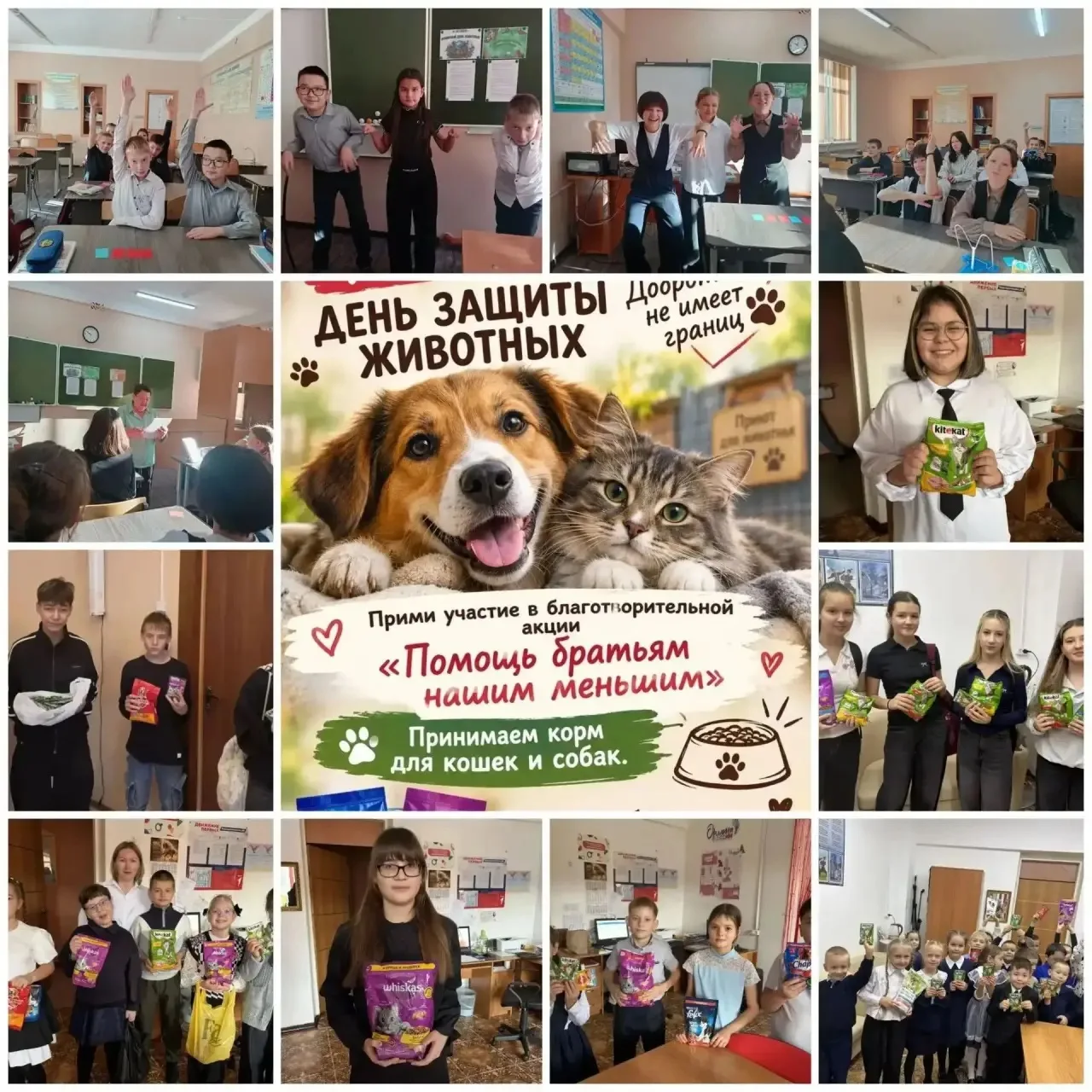 💚🐾«Мы в ответе за тех, кого приручили»: как в школах и детских садах Алдана отметили ...