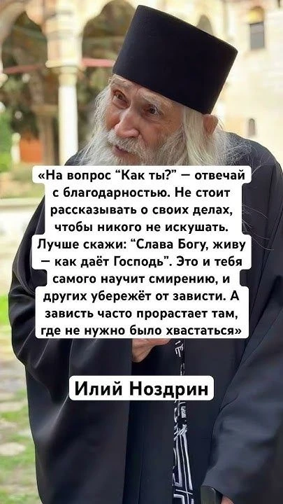 💗🕊️