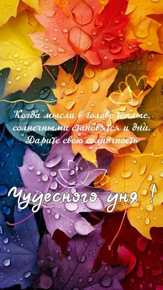 Доброе утро, дорогие мои и хорошего вам дня! ❤️❤️❤️