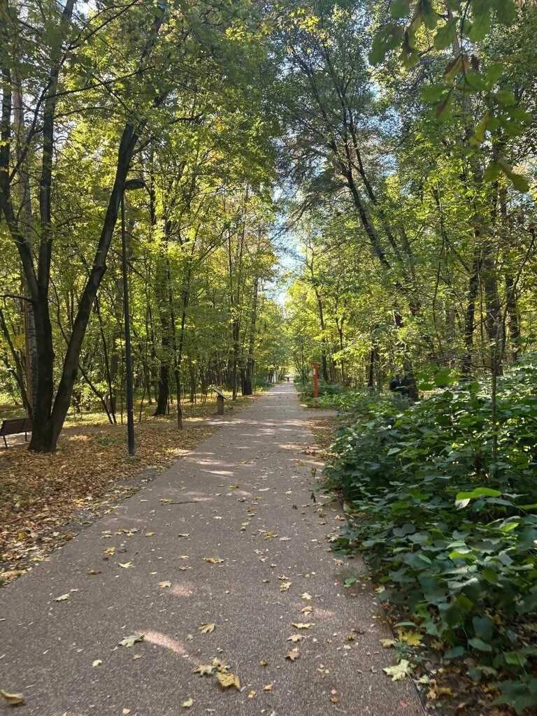 Желаю всем лёгкого понедельника и хорошей рабочей недели ❤