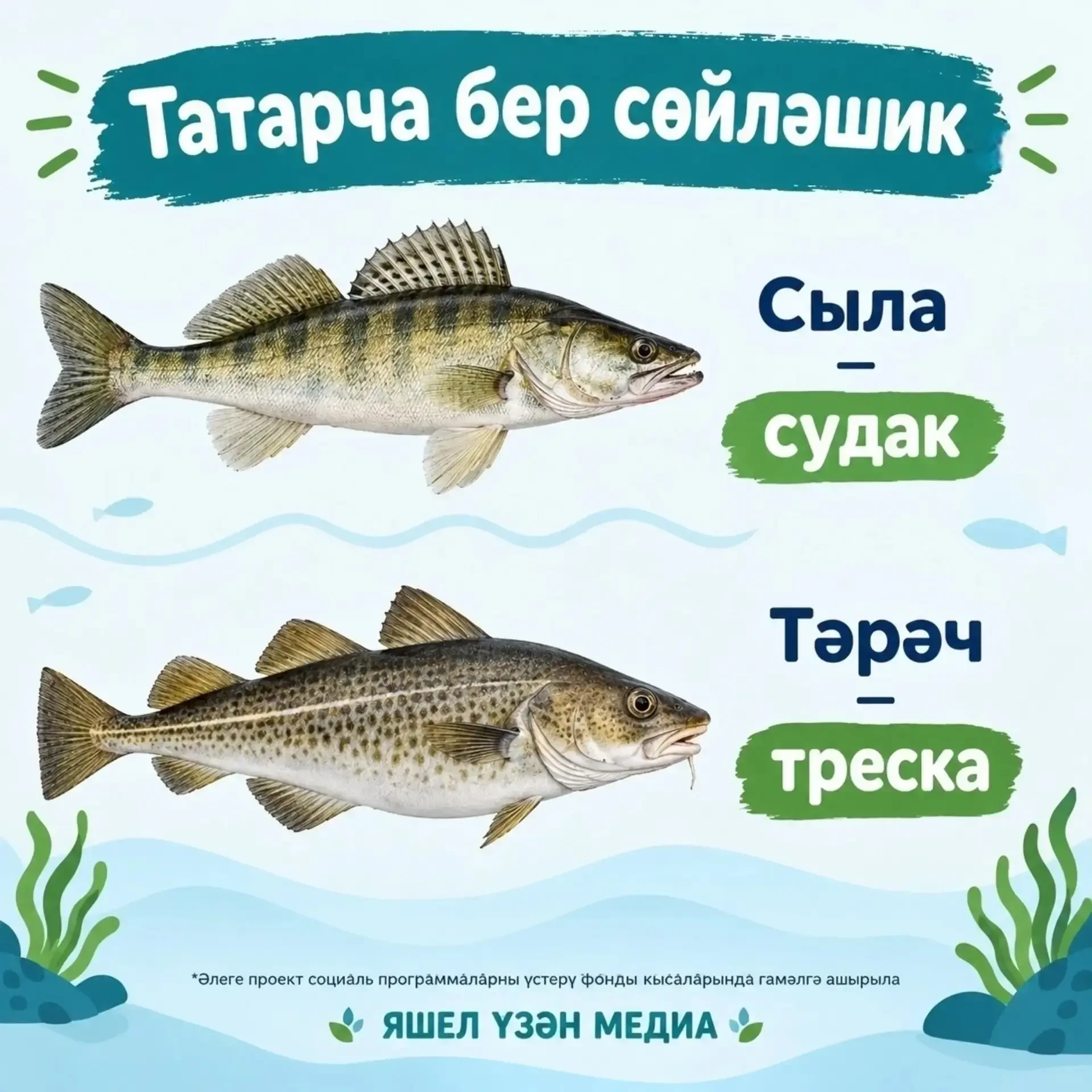 «Тере тел – сүздән башлана» исеме астында тәкъдим ителгән мәкаләләрне, видеоязмаларны, ...