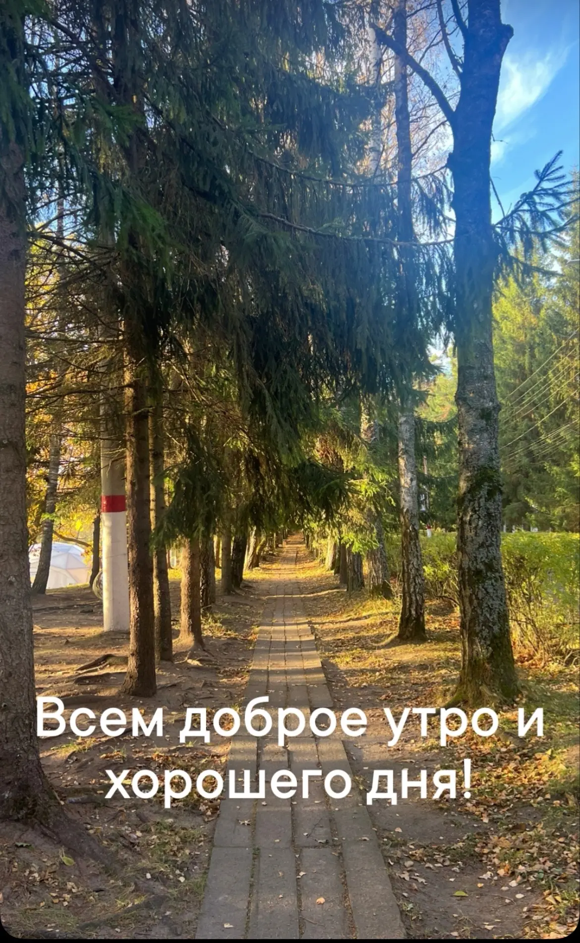 У меня в планах на сегодня собрать чемоданы, сдать велосипеды, доехать до Москвы и поез...