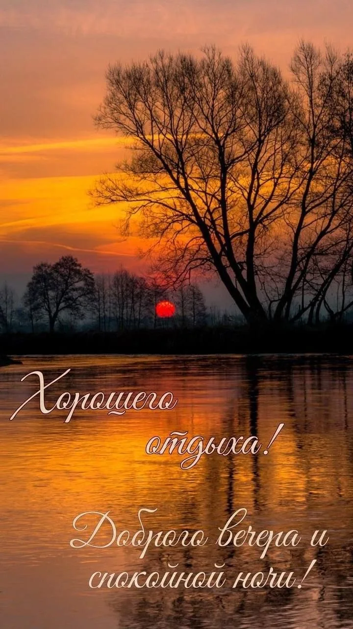 Доброй ночи 🫶🏻