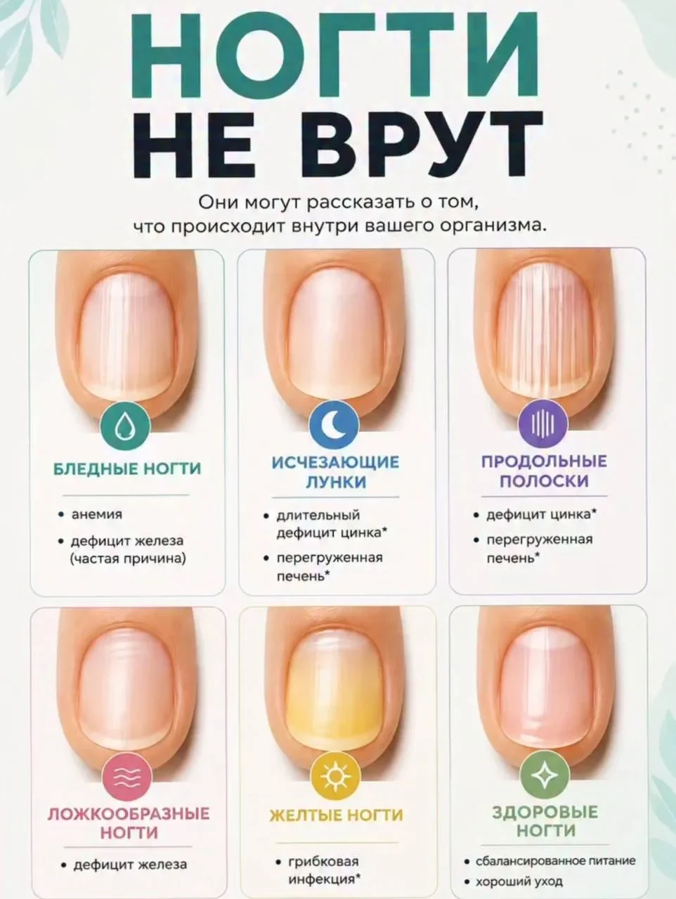 Ногти не врут 💅