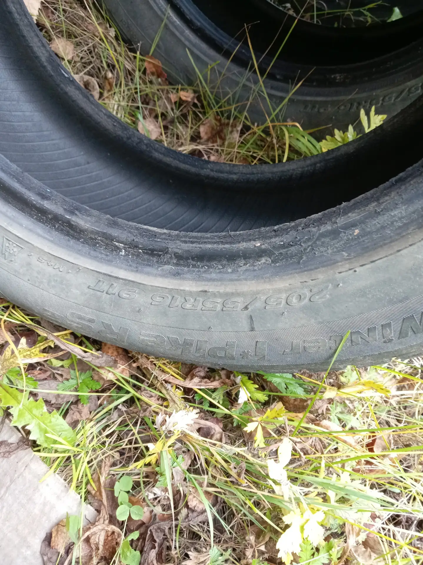 hankook winter i * pike rs2 w429 шины зимние 205 55 R16 цена 2900 руб.