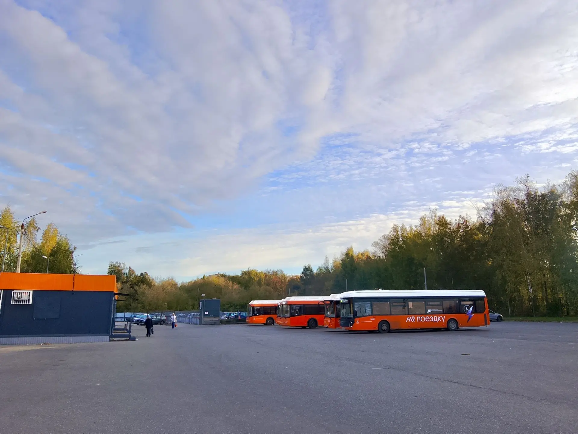 Утро в Щербинках ☀️