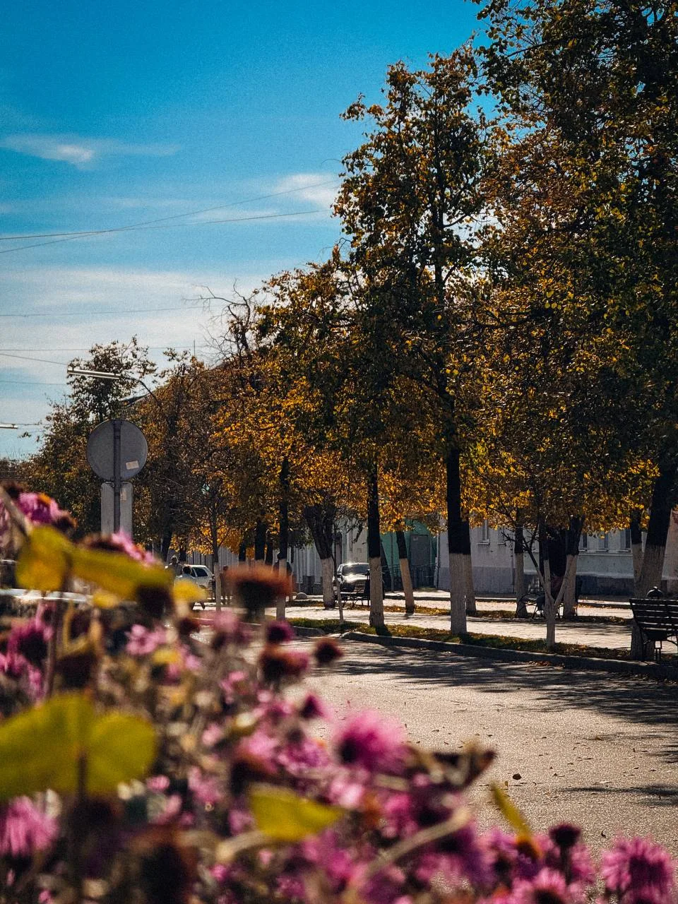 🌤 Осень решила не торопиться: орловцев ждут тёплые выходные
