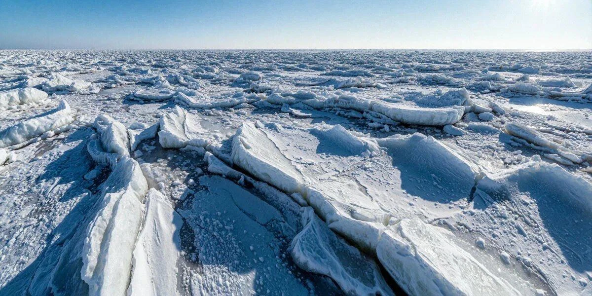 До 3 ноября 2026 года принимаются работы на конкурс арктических исследований имени Н.В....