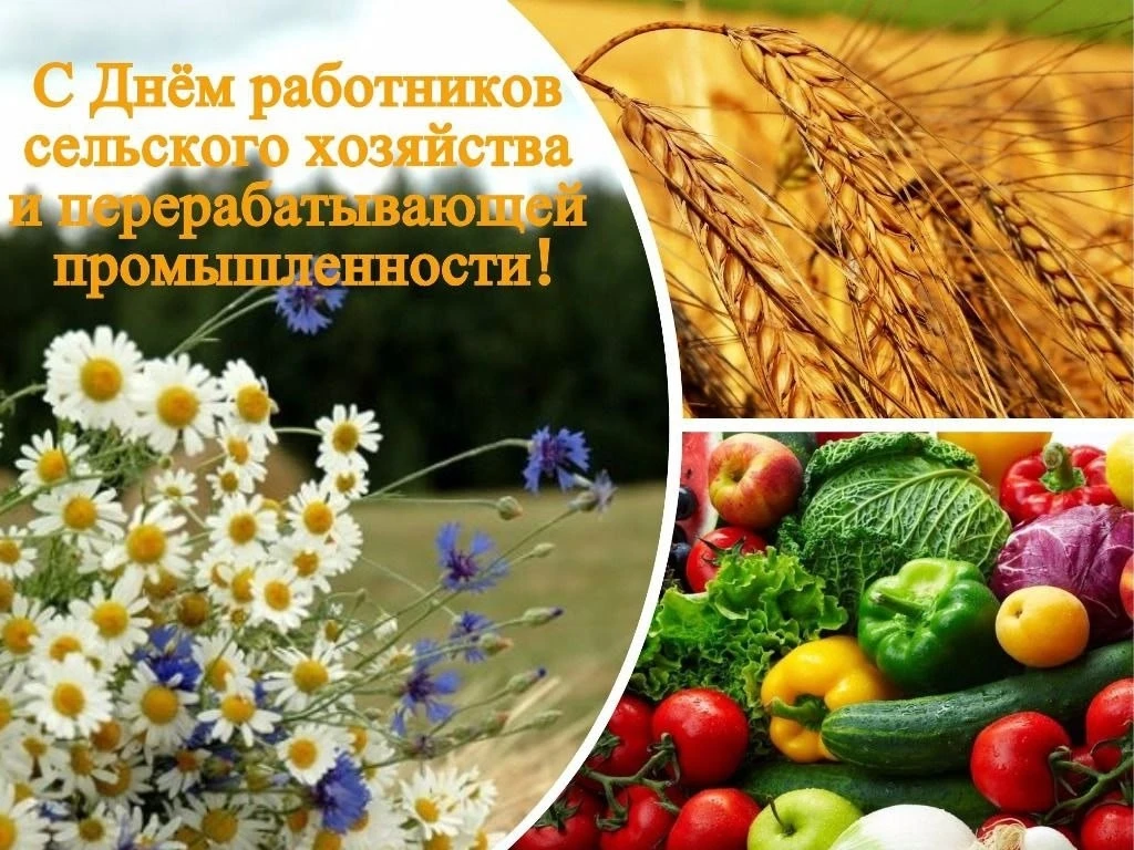 Ежегодно, во второе воскресенье октября, в России отмечается День работника сельского х...
